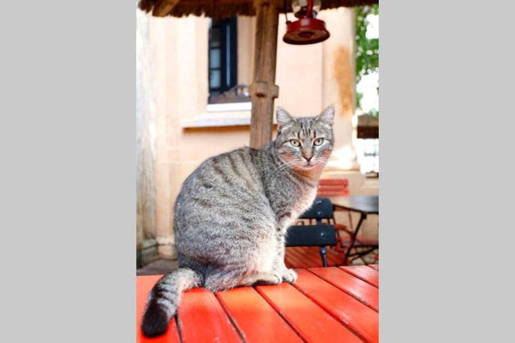 La Copac Cozy Stay Boekarest Buitenkant foto